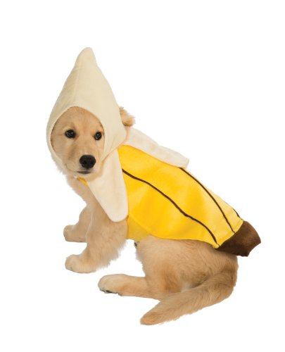 Banana for Scale
